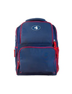 COOL BAGS BACKPACK 16L