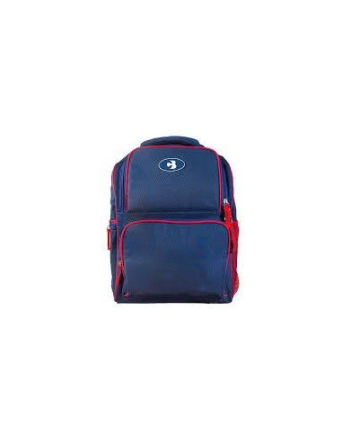 COOL BAGS BACKPACK 16L