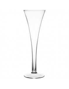 RAVENHEAD SET OF 2 PROSECCO...
