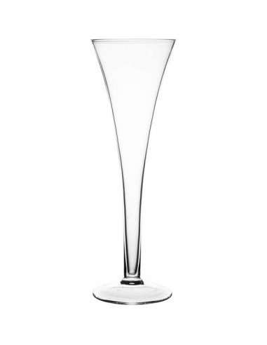 RAVENHEAD SET OF 2 PROSECCO FLUTES