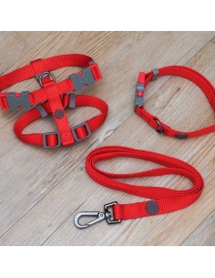 WALKABOUT RED DOG COLLAR X...