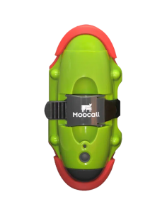 MOOCALL CALVING MONITOR /...