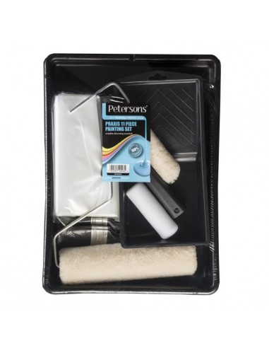 PETERSONS PRAXIS 11 PIECE PAINTING SET