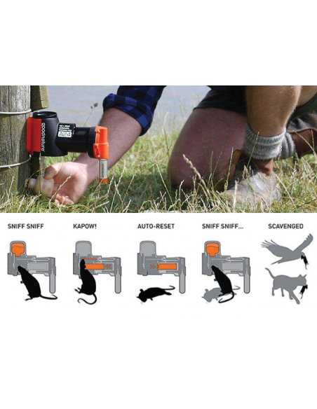GOODNATURE AUTOMATIC RAT TRAP