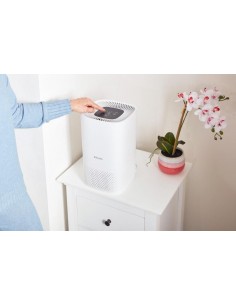 DIMPLEX BRAVA 4 STAGE AIR... 2