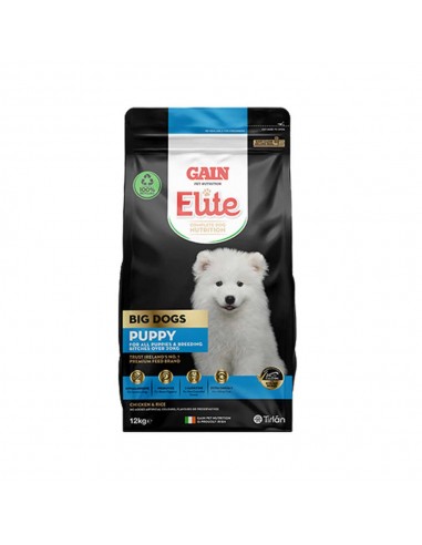 GAIN BIG DOG PUPPY FOOD 12KG