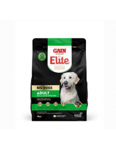 GAIN BIG DOG ADULT FOOD 12KG