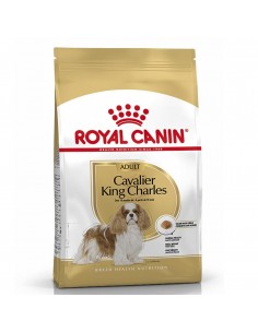 ROYAL CANIN CAVALIER KING...