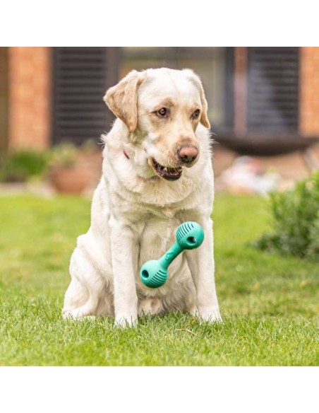 ZOON RUBBER DENTAL DUMBBELL