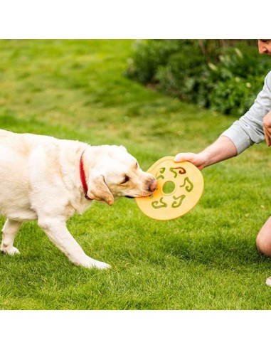 DOG SPINNER 25CM