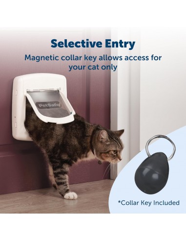 CLASSIC MAGNETIC 4-WAY LOCKING CAT FLAP