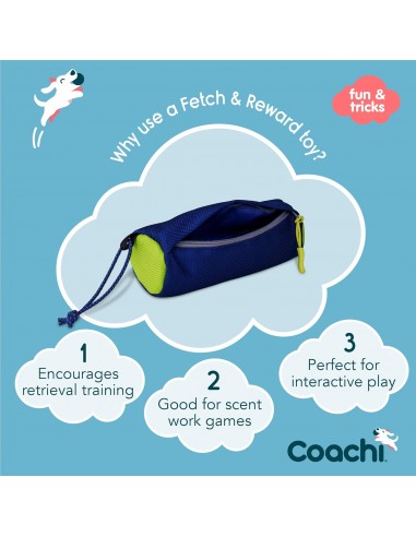 COACHI FETCH & REWARD NAVY & LIME
