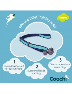 COACHI TOILET TRAINING... 2