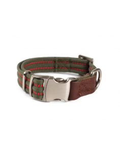 PRIMO DOG COLLAR - OLIVE SMALL
