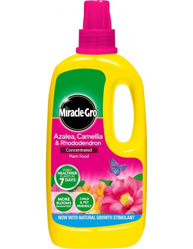 MIRACLE-GRO AZALEA, CAMELLIA &...