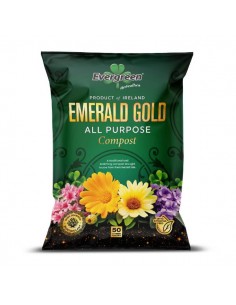 EVERGREEN EMERALD GOLD ALL...