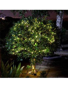 SMART GARDEN ULTRA FIREFLY... 2