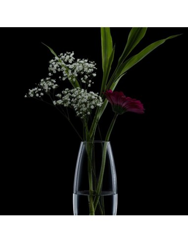 RAVENHEAD BULLET VASE 23CM GIFT BOX