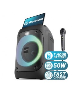 MAJORITY P100 PORTABLE... 2