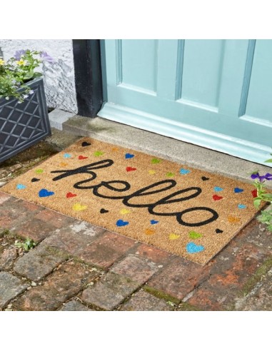 HEARTY HELLO 75 X 45CM DOOR MAT