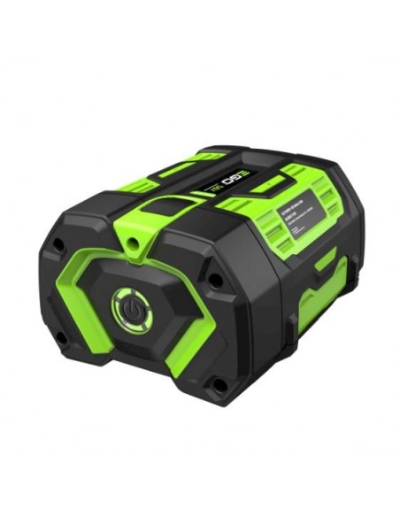 EGO CS2005E CHAINSAW