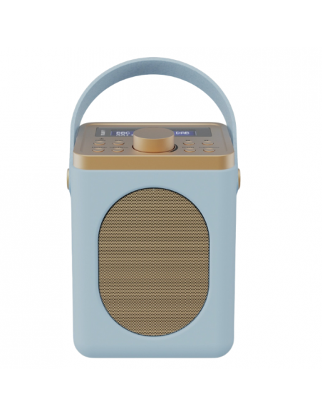 MAJORITY DUCKEGG LITTLE SHELFORD FM RADIO AND BLUETOOTH