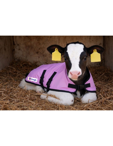 DRINAGH LOGO CALF JACKET 90CM LARGE PINK
