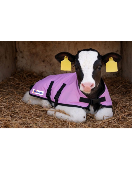 DRINAGH LOGO CALF JACKET 75CM MEDIUM PINK