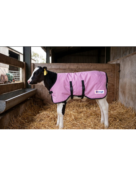 DRINAGH LOGO CALF JACKET 75CM MEDIUM PINK