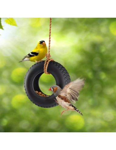 FRED SWING TIME - NOVELTY TIRE SWING...