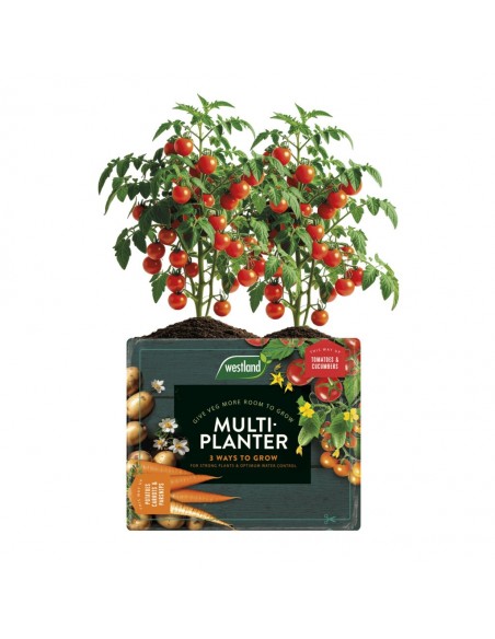 WESTLAND MULTI-PLANTER MEDIUM