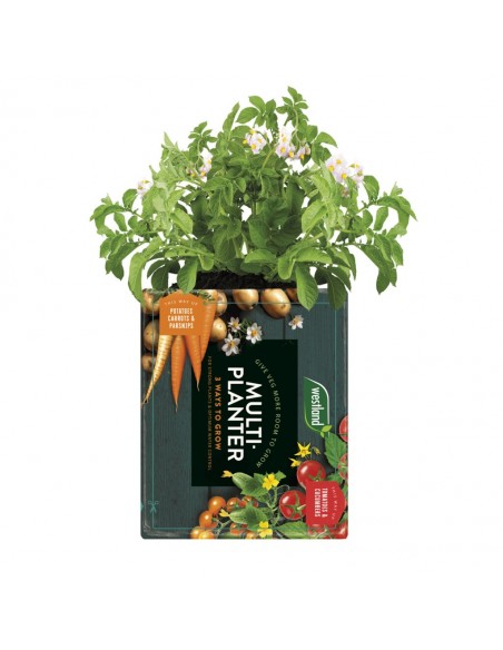 WESTLAND MULTI-PLANTER MEDIUM