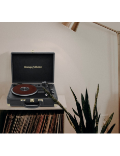 MUSE 3 SPEED TURNTABLE... 2