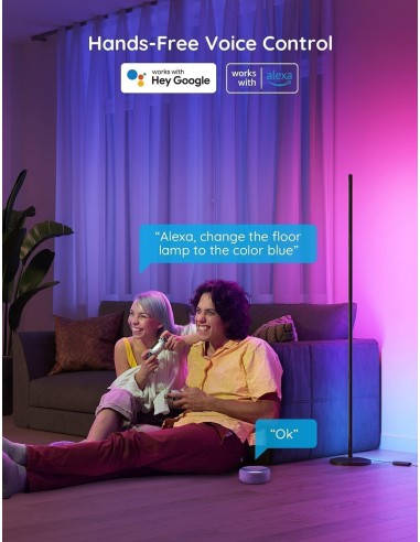 GOVEE SMART FLOOR LAMP LITE