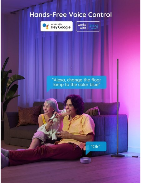 GOVEE SMART FLOOR LAMP LITE