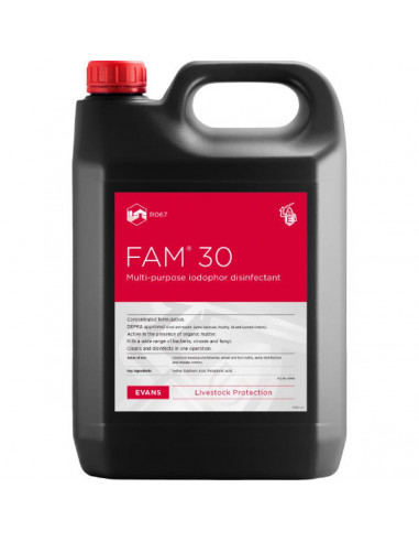 FAM 30 DISINFECTANT 5LT