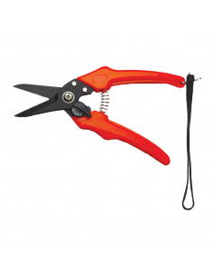 FOOT ROT SHEARS SERRATED