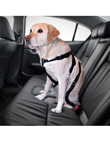 CAR DOG HARNESS LARGE 70-80CM