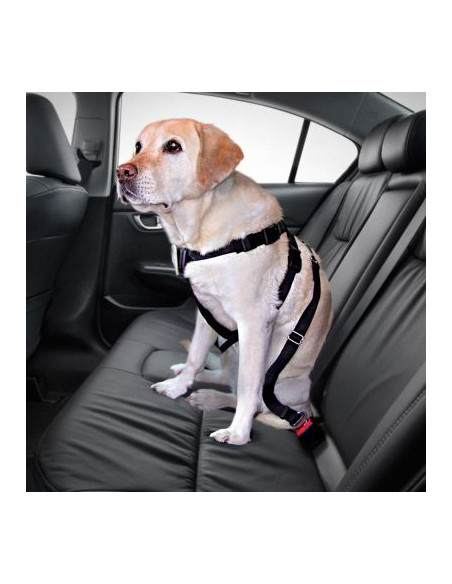 CAR DOG HARNESS LARGE 70-80CM