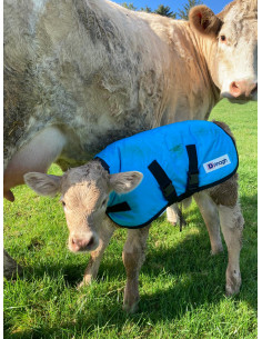 DRINAGH LOGO CALF JACKET...