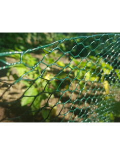 HEXAGONAL WIRE NETTING 25MM...
