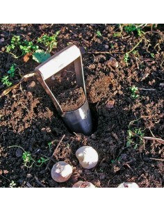 DRAPER BULB PLANTER 2