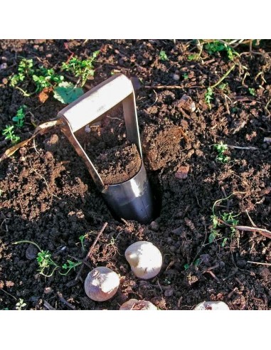 DRAPER BULB PLANTER