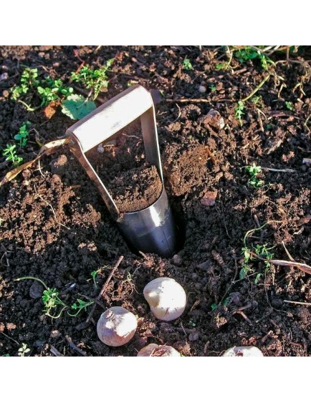 DRAPER BULB PLANTER