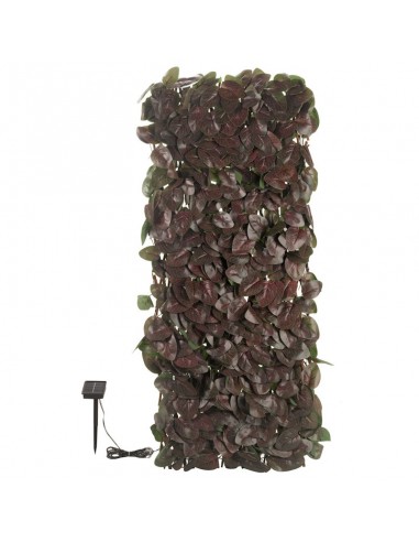 SMART GARDEN 75 LED SOLAR IN-LIT...