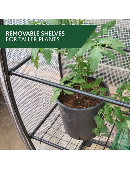 GRO-SURE VISIROOT 12 TRAY GROWHOUSE