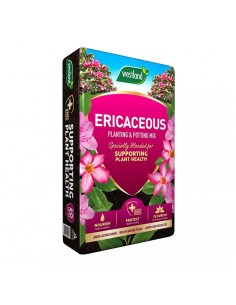 WESTLAND ERICACEOUS...