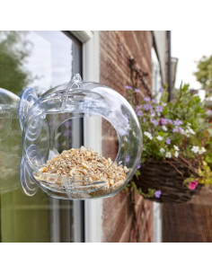 PECKISH GLOBE WINDOW FEEDER 2