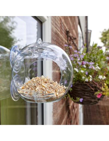 PECKISH GLOBE WINDOW FEEDER