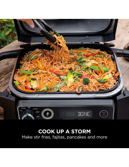 NINJA WOODFIRE ELECTRIC BBQ FLAT PLATE